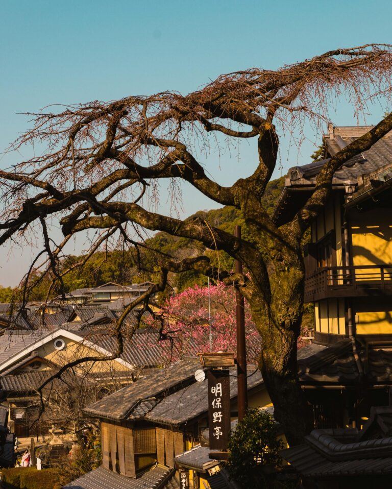 Captivating view of traditional wooden architecture in Kyoto, Japan, with a prominent tree and warm lighting.