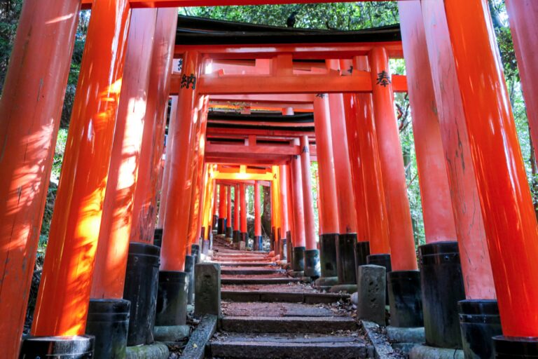 Kyoto Travel Guide: Best Temples, Things to Do & Tips